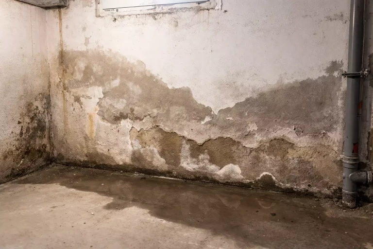 Aufsteigende Feuchtigkeit im Kreis Wesel