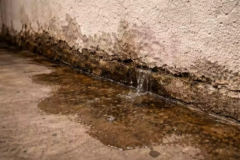 Sohle Wandanschluss defekt Grundwasser