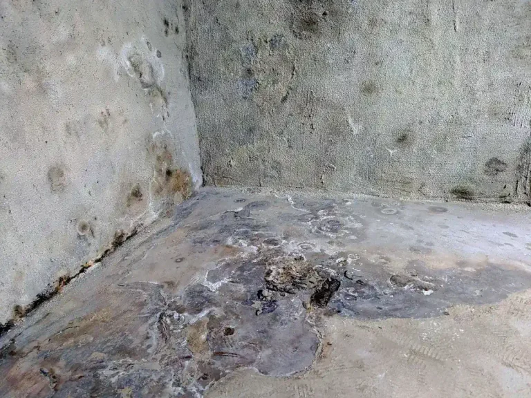 Ausblühungen im Keller
